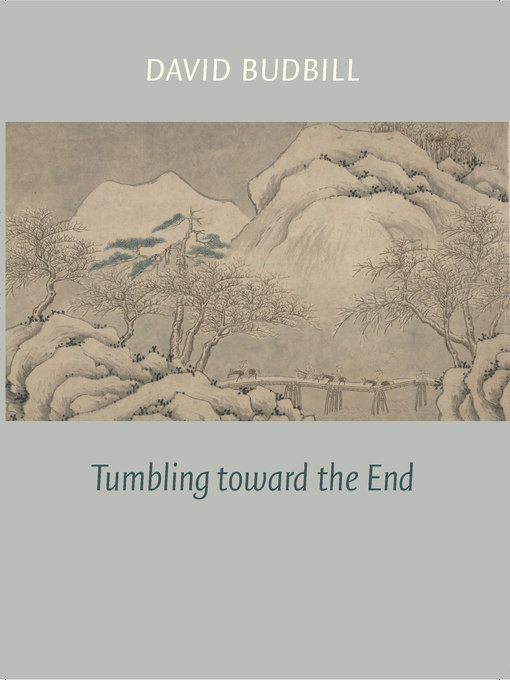Title details for Tumbling Toward the End by David Budbill - Available
